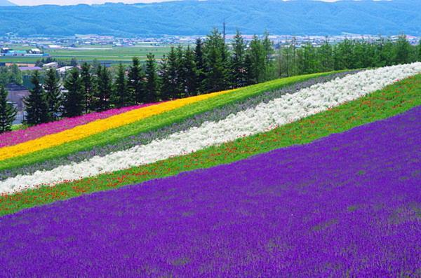 ふる郷荘furusato Nakafurano Kültér fotó